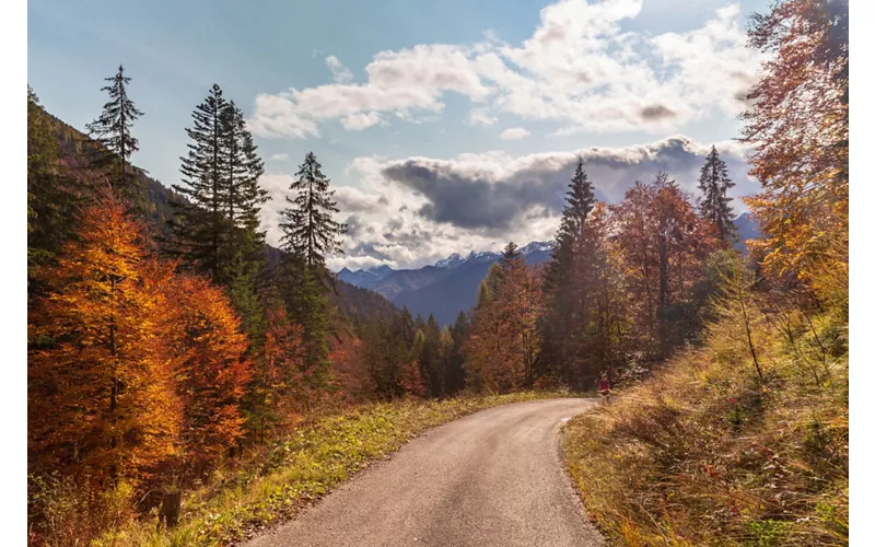 Along the River Tagliamento: from Forni di Sopra to Lignano Sabbiadoro