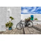Puglia by bike: between trulli, olive groves and delightful villages