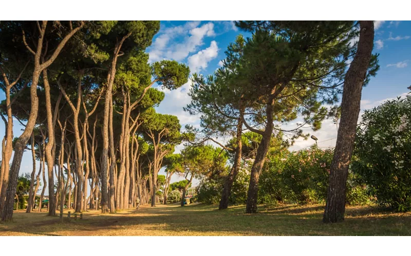 Panoramas de Téramo: del Gran Sasso al mar Adriático