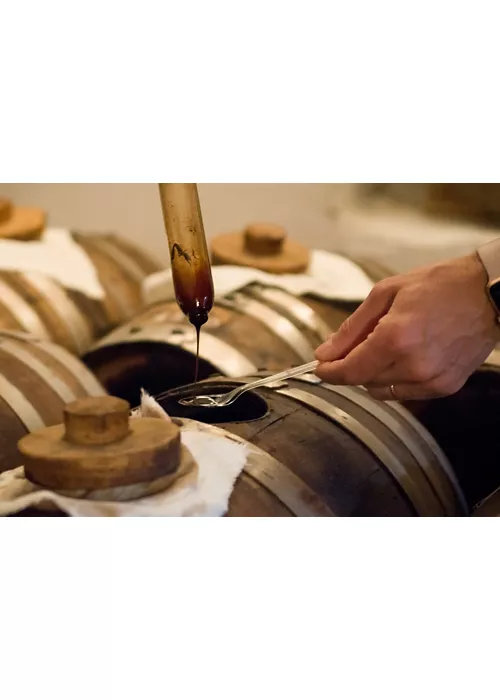 Emilia Romagna, Modena: the cult of balsamic vinegar and Lambrusco wine