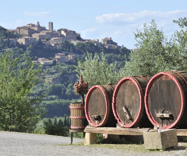 View of Montepulciano with barrels in the foreground