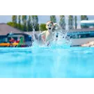 Zwischen Nervenkitzel und Entspannung: Familienurlaub in Wasserparks