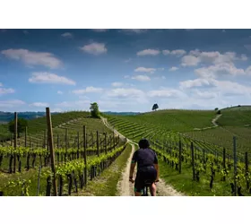 Piedmont by bike between landscapes, vineyards and flavours