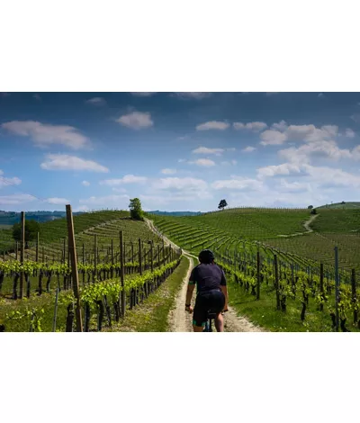 Piamonte en bicicleta entre paisajes vitivinícolas y rutas enogastronómicas