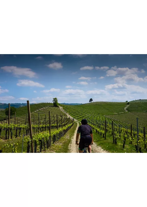 Piamonte en bicicleta entre paisajes vitivinícolas y rutas enogastronómicas