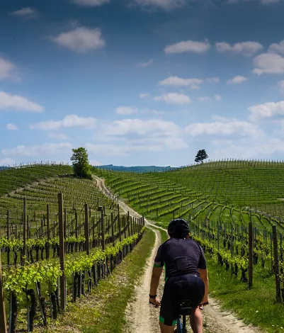 In bici in Piemonte tra paesaggi vitivinicoli e strade del gusto