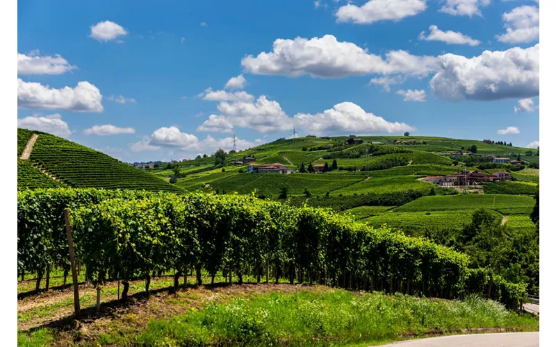 Unusual places in Piedmont: 2 destinations for curious visitors