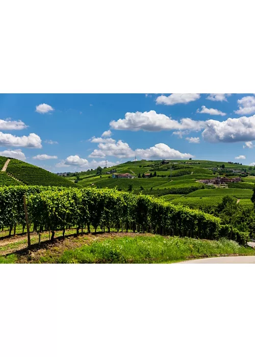 Langhe et Roero
