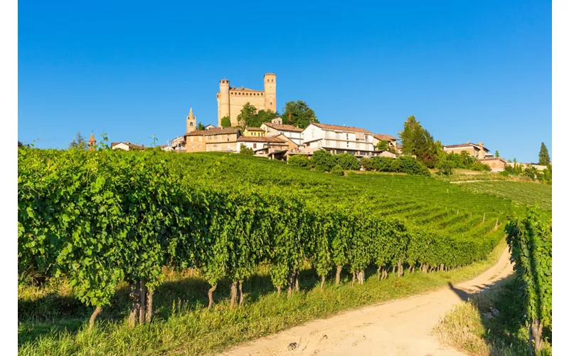 Bar To Bar – De Barbaresco a Barolo