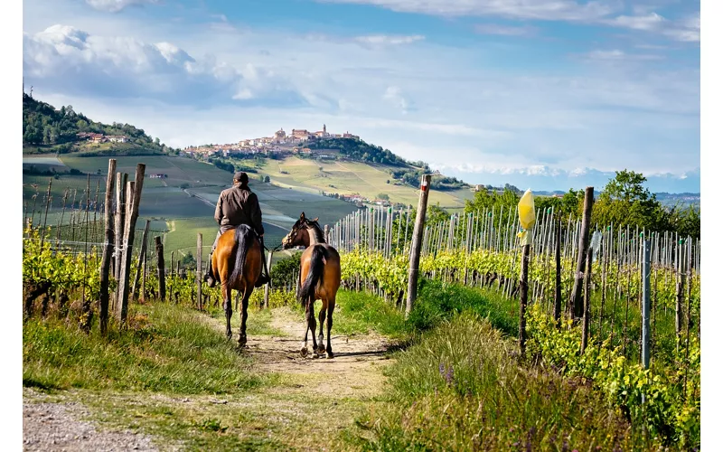 Photo by: Codegoni Daniele/Shutterstock.com