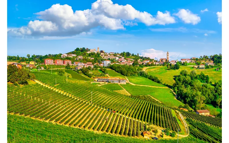 Monforte d'Alba - The Barolo Wine Route & the grat wines of the Langhe Area