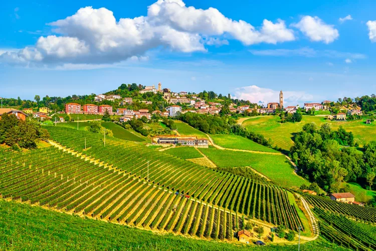 Monforte d'Alba - The Barolo Wine Route & the grat wines of the Langhe Area