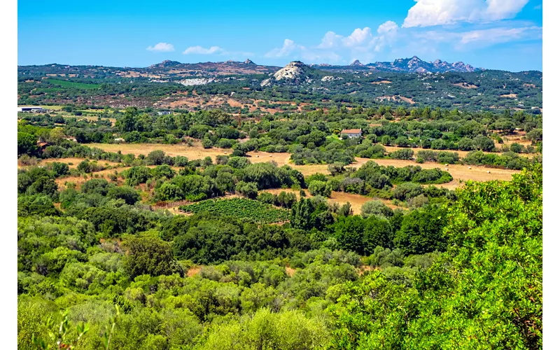 Arzachena, Sardegna