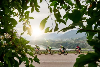 Trentino: pedalling in nature with the scent of wines and apples