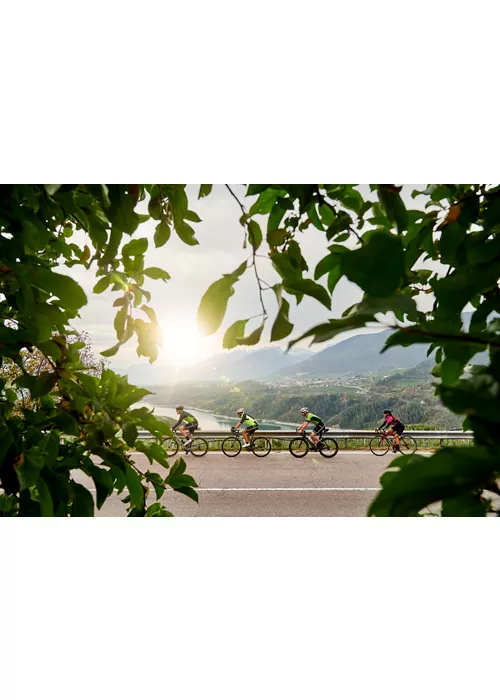 Trentino, en bicicleta por la naturaleza que perfuma a vinos y manzanas