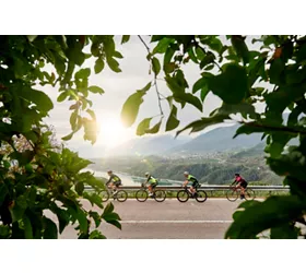 Trentino, pedalate nella natura al profumo di vini e mele