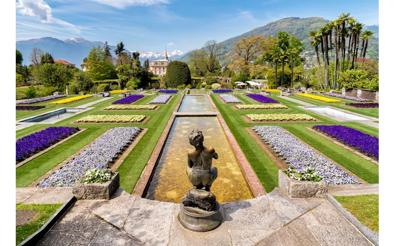 Among the flowers of Lake Maggiore