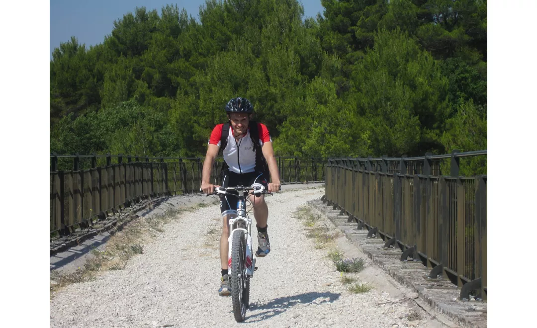 Ciclista