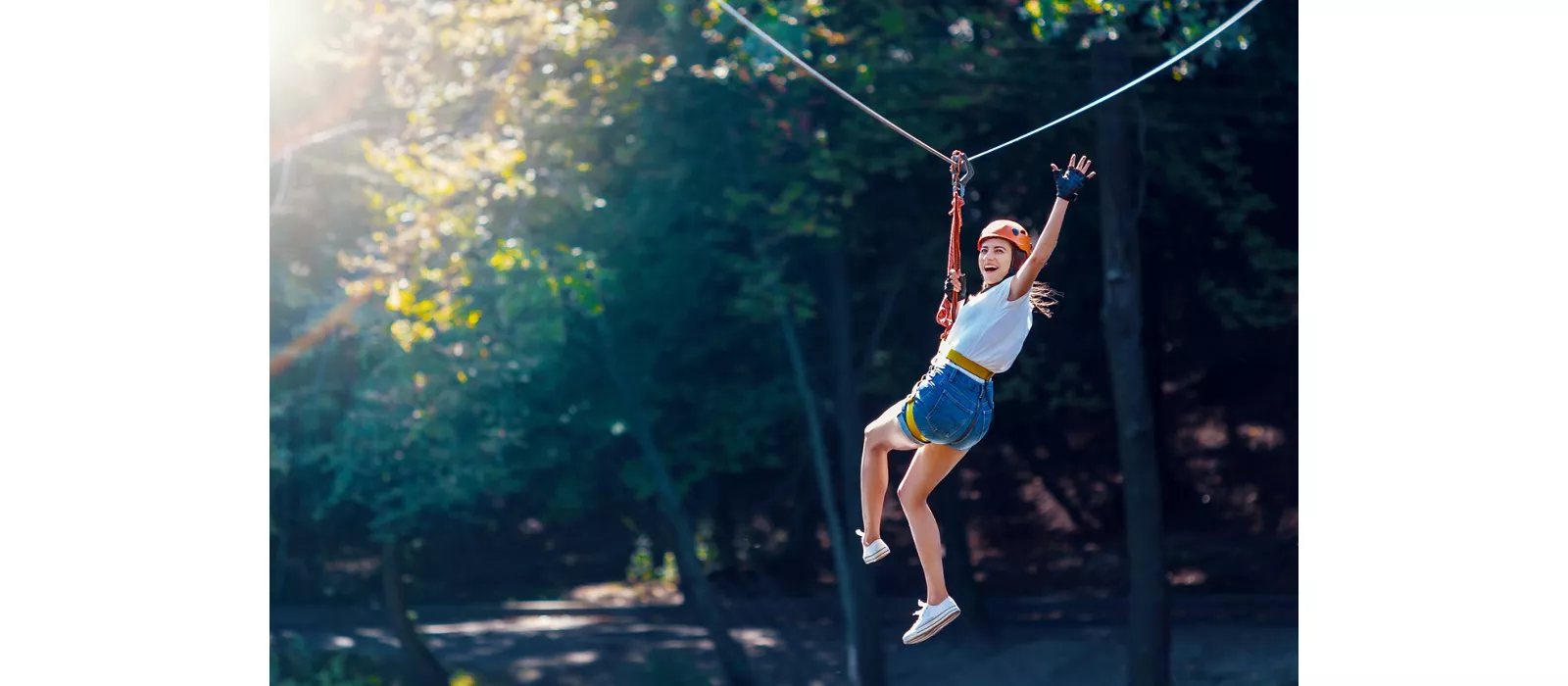 Adventure parks: acrobatics among the branches