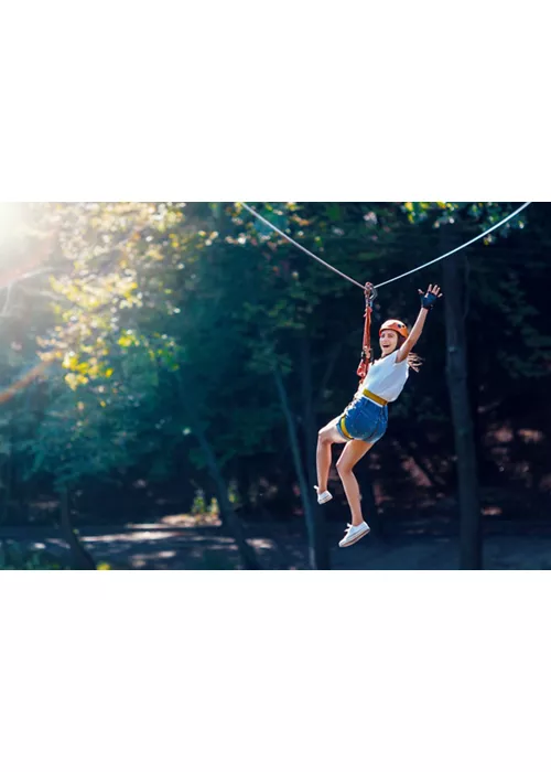 Abenteuerparks, die zwischen den Ästen schweben