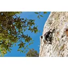 Arrampicata, corpo a corpo con la roccia
