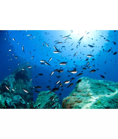 Tauchen, in engem Kontakt mit dem weiten Meer