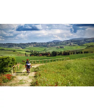 Mountain bikers on touristic trail in Tuscany 