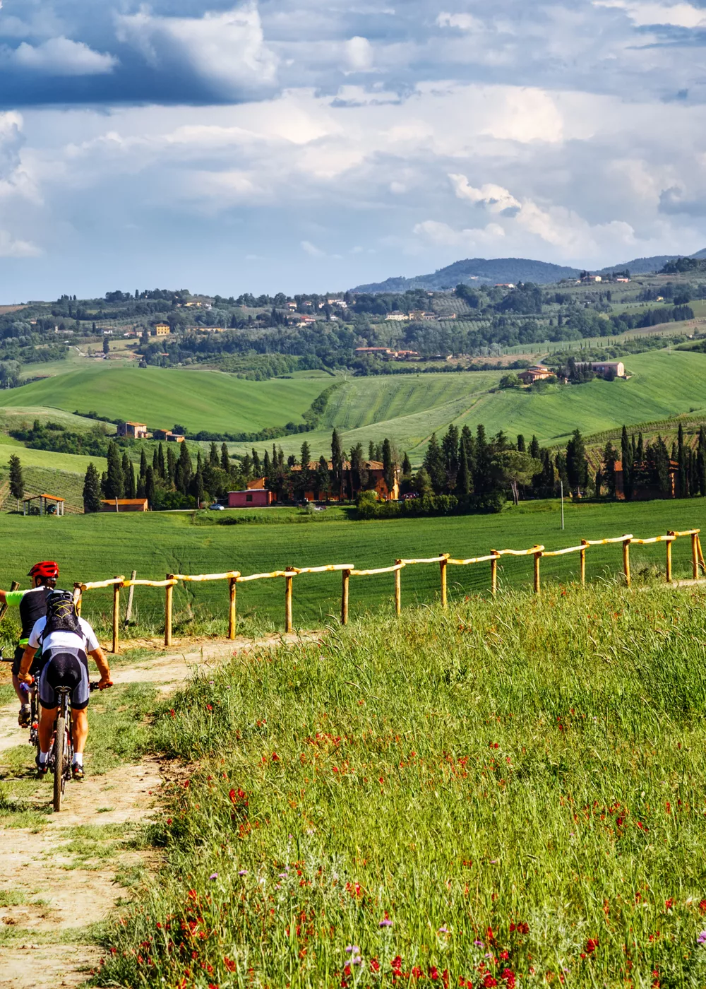 Ciclisti in una tratto turistico della Toscana