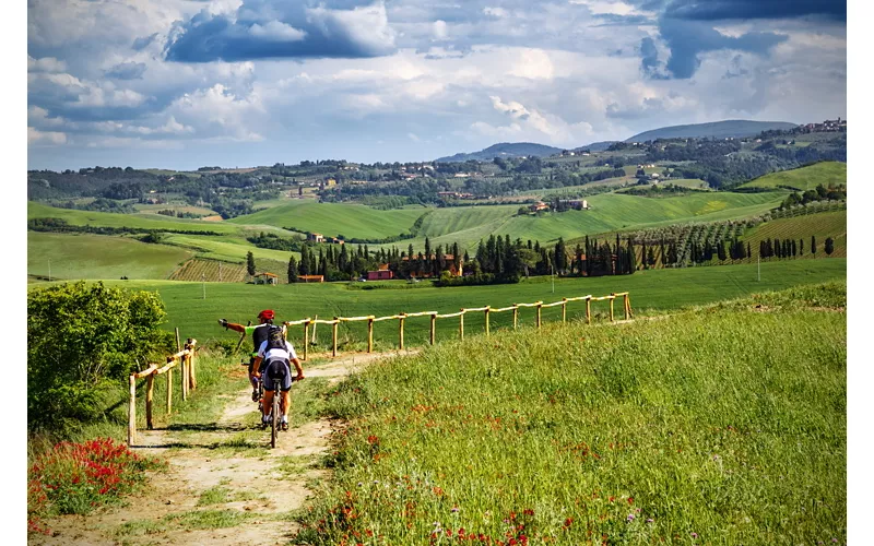 Ciclisti in una tratto turistico della Toscana