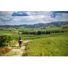 Ciclisti in una tratto turistico della Toscana