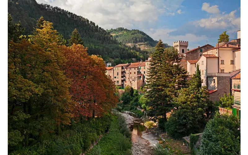 The realm of nature in the Casentinesi Forests