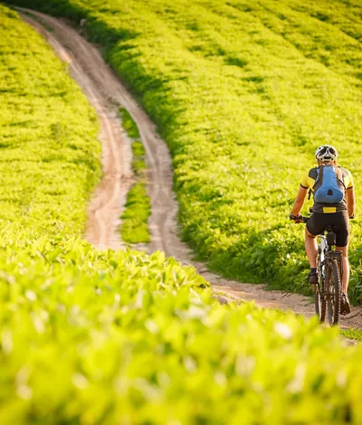 Bici e bollicine: alla scoperta della natura Lombarda