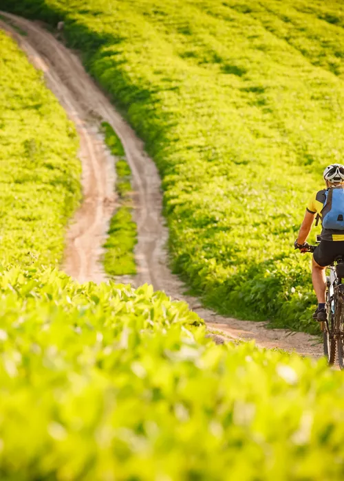 Bike and bubbles: discovering the nature of Lombardy