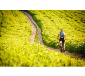 Bicicletas y burbujas: descubriendo la naturaleza de Lombardía