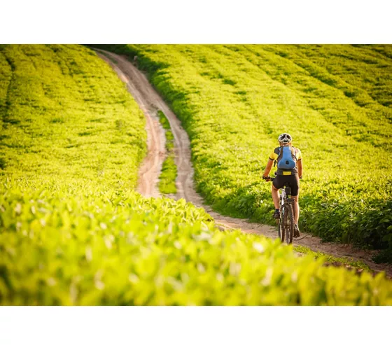 Bicicletas y burbujas: descubriendo la naturaleza de Lombardía