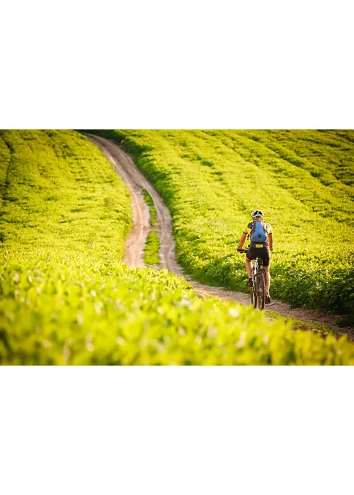 Bicicletas y burbujas: descubriendo la naturaleza de Lombardía