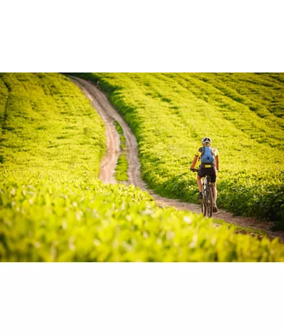 Bici e bollicine: alla scoperta della natura Lombarda