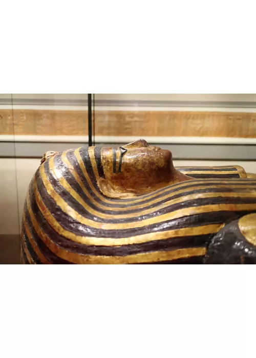 Close encounters in the Museum