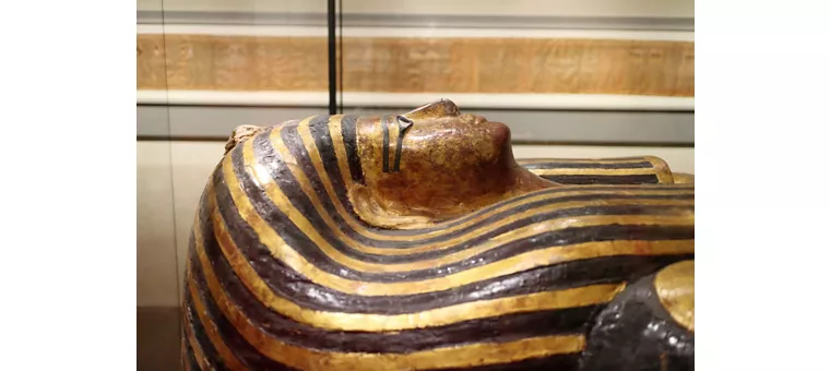 Encontros próximos no museu