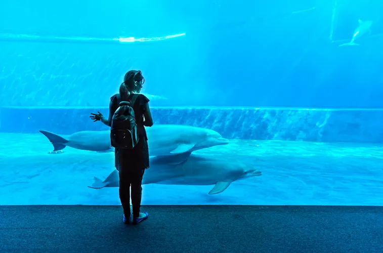 The Aquarium of Genoa, Liguria