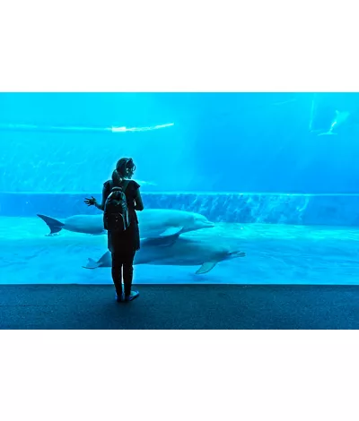 Acquario di Genova - Photo by:  ValerioMei / Shutterstock.com