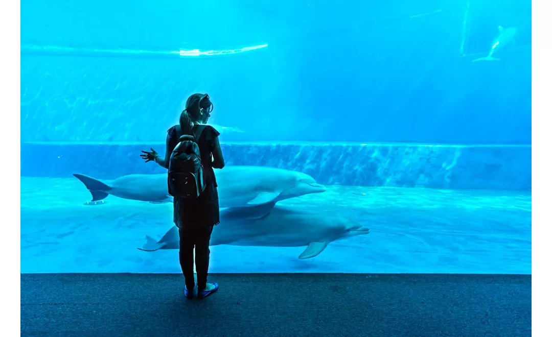 Acquario di Genova - Photo by:  ValerioMei / Shutterstock.com