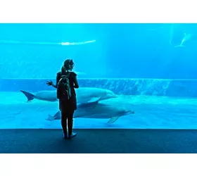 Acquario di Genova - Photo by:  ValerioMei / Shutterstock.com
