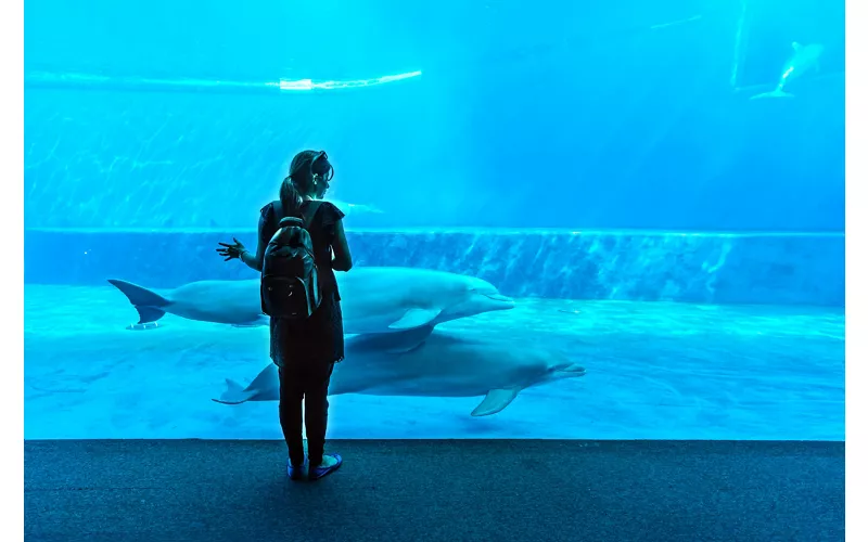 Acquario di Genova - Photo by:  ValerioMei / Shutterstock.com