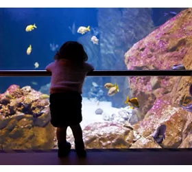 Acquario Livorno - Photo by: Antonio Gravante / Shutterstock.com