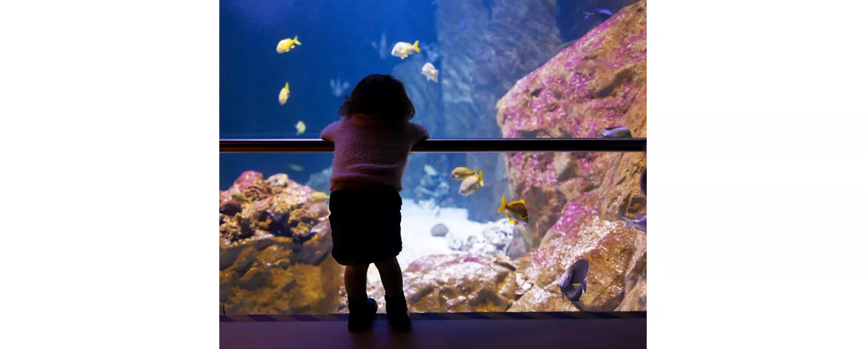 Acquario Livorno - Photo by: Antonio Gravante / Shutterstock.com