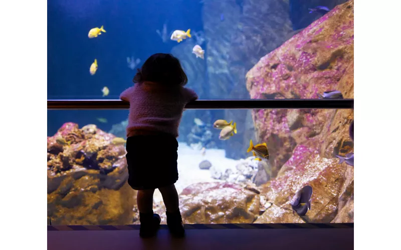 Acquario Livorno - Photo by: Antonio Gravante / Shutterstock.com