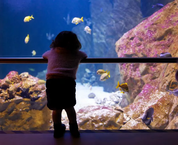 The Aquarium of Livorno, Toscana