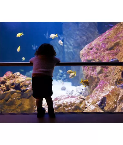 Acquario Livorno - Photo by: Antonio Gravante / Shutterstock.com