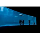 Aquários de Itália, todo o mar num tanque